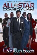 Watch All Star Comedy Jam: Live from South Beach Vidbull