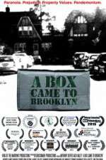 Watch A Box Came to Brooklyn Vidbull