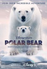 Watch Polar Bear Vidbull
