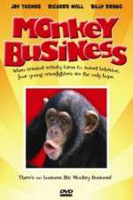 Watch Monkey Business Vidbull