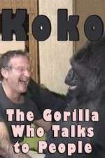 Watch Koko: The Gorilla Who Talks to People Vidbull