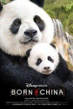 Watch Born in China Vidbull