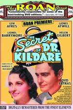 Watch The Secret of Dr Kildare Vidbull