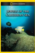 Watch National Geographic Jewels of the Caribbean Sea Vidbull