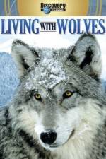 Watch Living with Wolves Vidbull