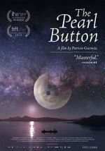 Watch The Pearl Button Vidbull