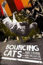 Watch Bouncing Cats Vidbull