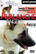 Watch Avalanche Angels Vidbull