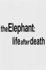 Watch The Elephant - Life After Death Vidbull