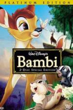 Watch Bambi Vidbull