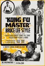 Watch Kung Fu Master - Bruce Lee Style Vidbull