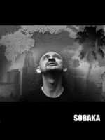 Watch Sobaka Vidbull