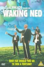 Watch Waking Ned Vidbull
