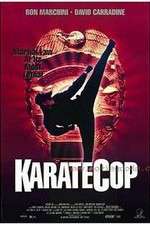 Watch Karate Cop Vidbull