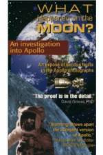 Watch What Happened on The Moon: Hoax Lies Vidbull