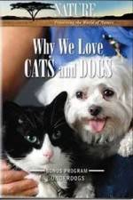 Watch Why We Love Cats And Dogs Vidbull