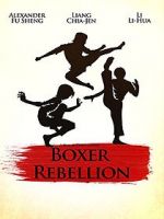 Watch Boxer Rebellion Vidbull