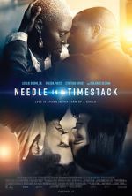 Watch Needle in a Timestack Vidbull