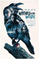 Watch Witches in the Woods Vidbull