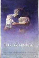 Watch The Glass Menagerie Vidbull