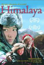 Watch Himalaya Vidbull