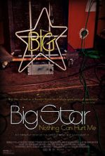 Watch Big Star: Nothing Can Hurt Me Vidbull