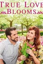 Watch True Love Blooms Vidbull