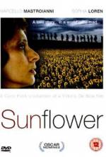 Watch Sunflower Vidbull