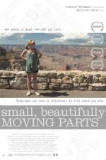 Watch Small Beautifully Moving Parts Vidbull