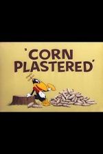 Watch Corn Plastered (Short 1951) Vidbull