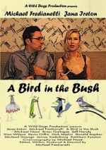 Watch A Bird in the Bush Vidbull