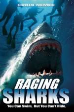 Watch Raging Sharks Vidbull