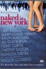 Watch Naked in New York Vidbull