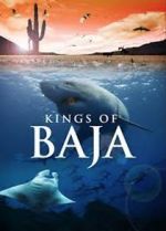 Watch Kings of Baja Vidbull