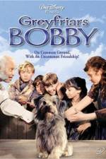 Watch Greyfriars Bobby The True Story of a Dog Vidbull