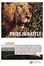 Watch Pride in Battle Vidbull