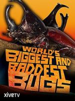 Watch World\'s Biggest and Baddest Bugs Vidbull