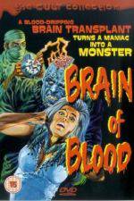 Watch Brain of Blood Vidbull