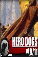 Watch Hero Dogs of 911 Documentary Special Vidbull