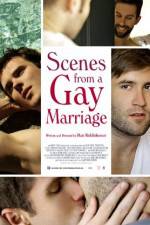 Watch Scenes from a Gay Marriage Vidbull