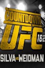 Watch Countdown To UFC 162 Vidbull