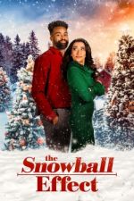 Watch The Snowball Effect Vidbull