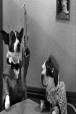 Watch The Two Barks Brothers Vidbull