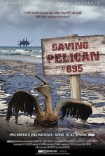 Watch Saving Pelican 895 (Short 2011) Vidbull