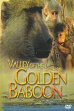 Watch National Geographic Golden Baboons Vidbull