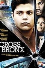 Watch Cross Bronx Vidbull