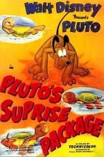 Watch Pluto\'s Surprise Package Vidbull