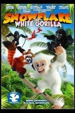 Watch Snowflake, the White Gorilla Vidbull