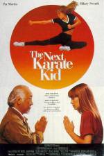 Watch The Next Karate Kid Vidbull