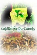 Watch Capital for the Canopy Vidbull